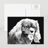 Cavalier spaniel Postcard Postkarte (Vorne/Hinten)