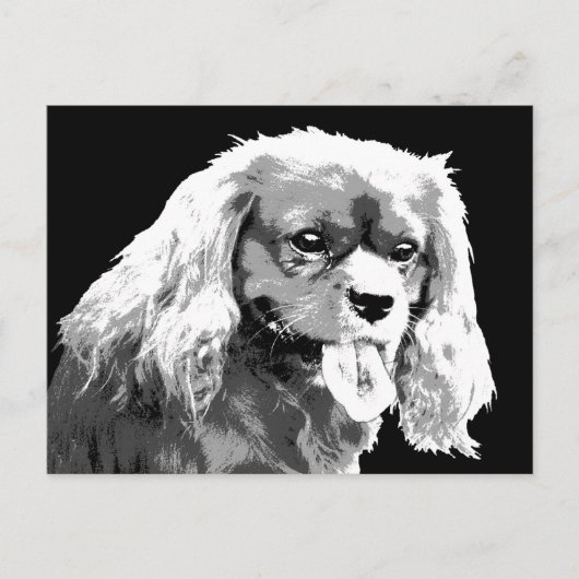 Cavalier spaniel Postcard Postkarte (Vorderseite)