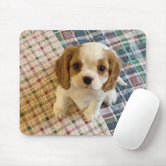 Cavalier Spaniel Puppy Mousepad (Mit Mouse)