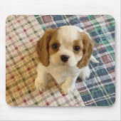 Cavalier Spaniel Puppy Mousepad (Vorne)