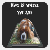 Cavalier Spaniel, Square Stickers (Vorderseite)