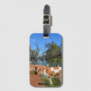 Cavalier Spaniel und Pelikane, Gepäckanhänger