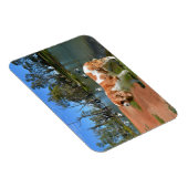 Cavalier Spaniel und Pelikane, Magnet (Rechte Seite)