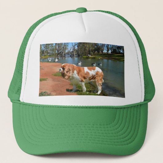 Cavalier Spaniel und Pelikane, Truckerkappe (Vorderseite)