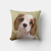 Cavalier Spaniel Welpe Throw Kissen (Vorderseite)