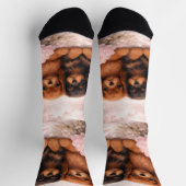 Cavalier Spaniel Welpen im Frühlingsblütenmeer Socken (Oben)