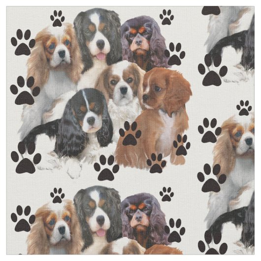 Cavalier Spaniels Gruppenporträt Stoff (Nahaufnahme)