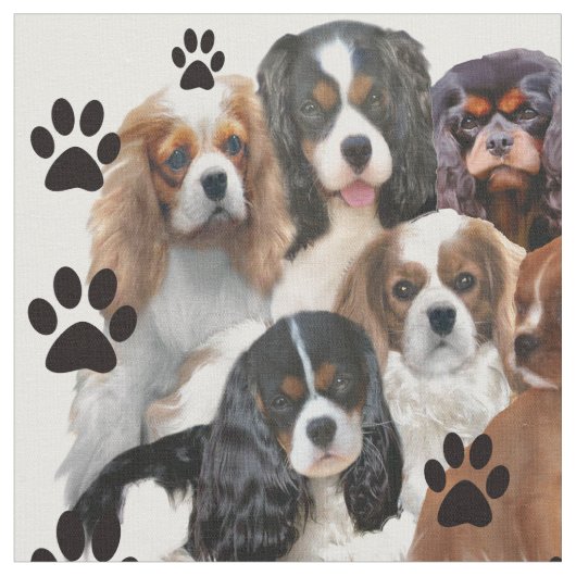 Cavalier Spanische Farben Fabrik Stoff (Nahaufnahme)