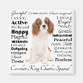 Cavalier Traits Magnet (Vorne)