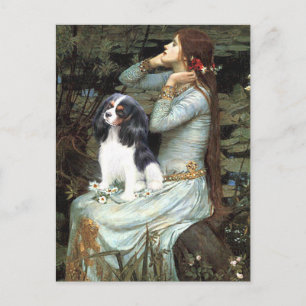 Cavalier (Tri6) - Ophelia sitzend Postkarte