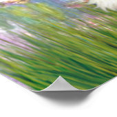 Cavalier (Tri Colored 5) - Lilies 2 Poster (Ecke)