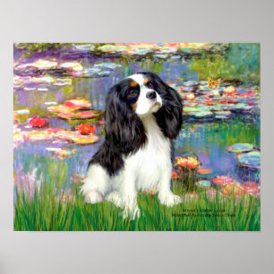 Cavalier (Tri Colored 5) - Lilies 2 Poster