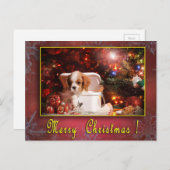 Cavalier Weihnachtskarte Feiertagspostkarte (Vorne/Hinten)