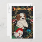 Cavalier Welpe in Weihnachten Strumpf (Vorne/Hinten)