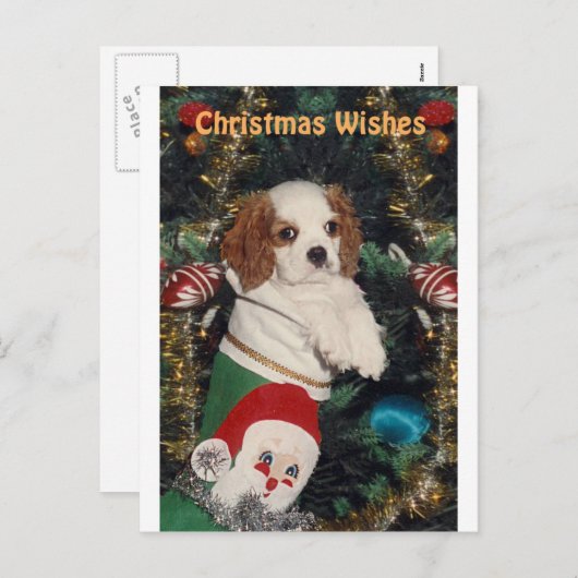 Cavalier Welpe in Weihnachten Strumpf (Vorne/Hinten)