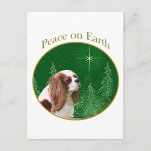 Cavalier Weltfrieden Postkarte