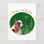 Cavalier Weltfrieden Postkarte (Vorderseite)