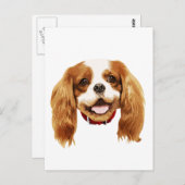 CavalierKingCharlesSpaniel_Epagneul face002 Postkarte (Vorne/Hinten)
