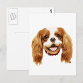 CavalierKingCharlesSpaniel_Epagneul Gesicht002 Postkarte (Vorne/Hinten)