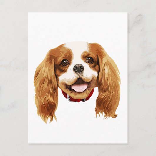 CavalierKingCharlesSpaniel_Epagneul Gesicht002 Postkarte (Vorderseite)
