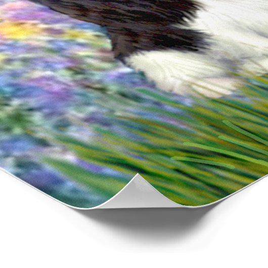 Cavaliers (4) - Garten Poster (Ecke)