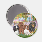 Cavaliers (4) - im Monet-Garten Magnet (Vorderseite/Rückseite)