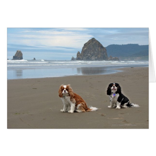 Cavaliers @ Cannon Beach, Oregon (Vorderseite (Horizontal))