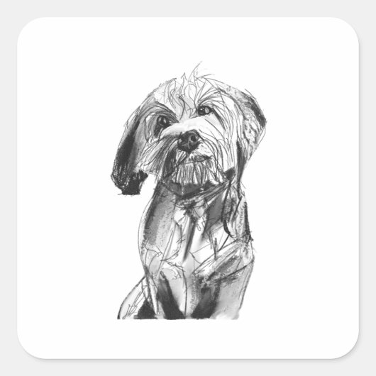 Cavapoo-Aufkleber, Hunde-Liebhaber-Illustration Quadratischer Aufkleber (Vorderseite)