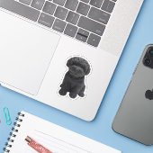 Cavapoo Cavoodle Cockerpoo Welpenschwarzer Hund Aufkleber (Laptop mit iPhone)