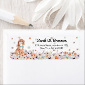 Cavapoo Cavoodle Dog Breed (Insitu)