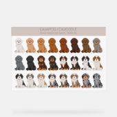 Cavapoo, Cavoodle-Hundmischung Acrylschild (Vorderseite)
