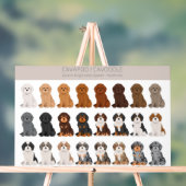 Cavapoo, Cavoodle-Hundmischung Acrylschild (Neutral)