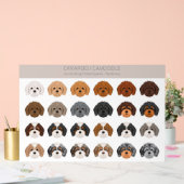 Cavapoo, Cavoodle-Hundmischung Acrylschild (Hochzeit)