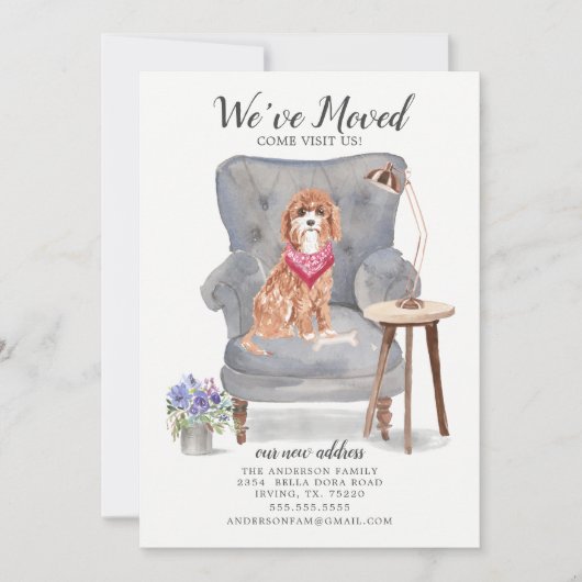 Cavapoo Dog | Ankündigung der Beförderung (Vorderseite)