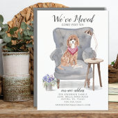 Cavapoo Dog | Ankündigung der Beförderung