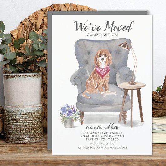 Cavapoo Dog | Ankündigung der Beförderung