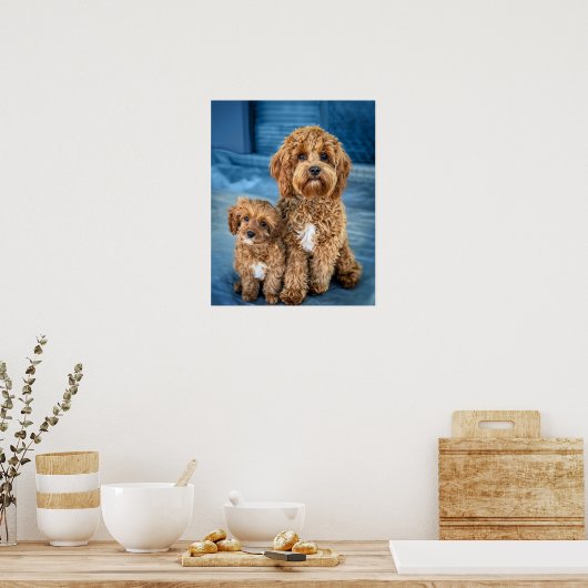 Cavapoo Dog Puppy Adorable Poster (Küche)