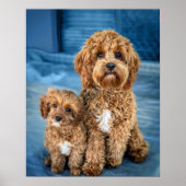 Cavapoo Dog Puppy Adorable Poster (Vorne)