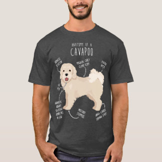 Cavapoo Hunde Anatomie 1 T-Shirt