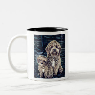 Cavapoo Hunde Niedlich Adorable Zweifarbige Tasse