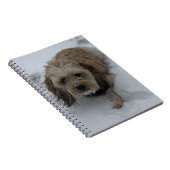 Cavapoo-Notebook Notizblock (Rechte Seite)