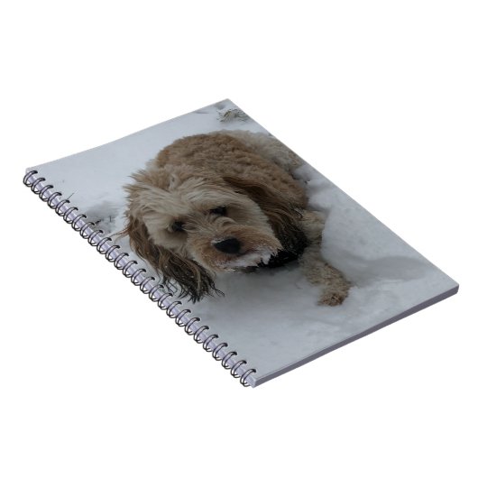 Cavapoo-Notebook Notizblock (Rechte Seite)