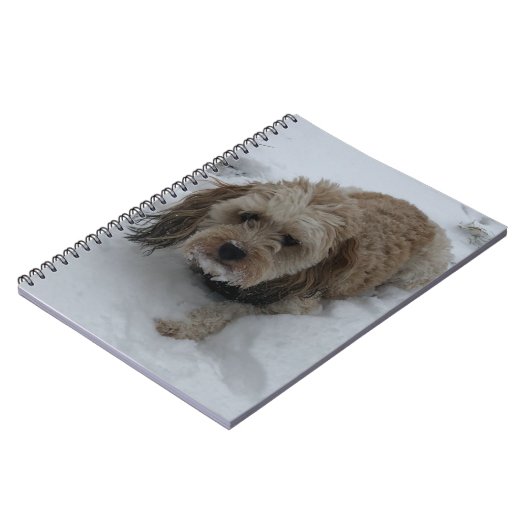Cavapoo-Notebook Notizblock (Linke Seite)