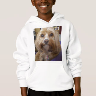 Cavapoo oder Cavadoodle Produkte Hoodie