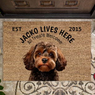 Cavapoo Personalisiert Fußmatte