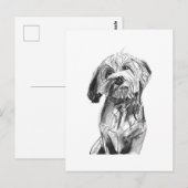 Cavapoo Postkarte – Kohlezeichnung Hund Illustrati (Vorne/Hinten)