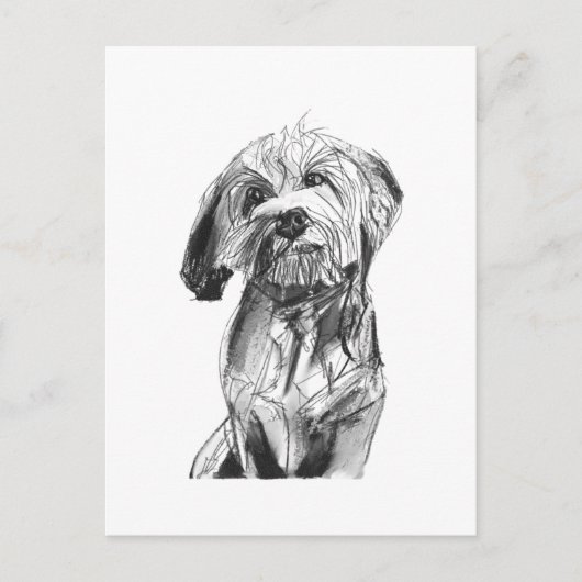 Cavapoo Postkarte – Kohlezeichnung Hund Illustrati (Vorderseite)