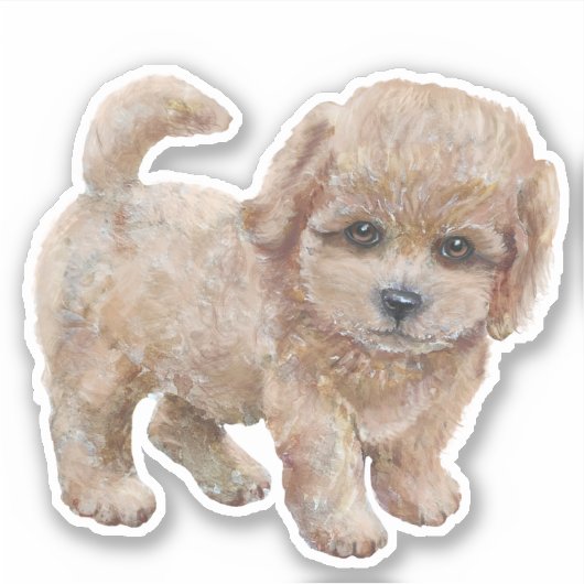 Cavapoo Puppy Cartoon Dog Sticker (Vorderseite)