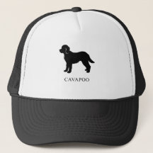Cavapoo