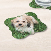 Cavapoo-Untersetzer Untersetzer (angewinkelt)